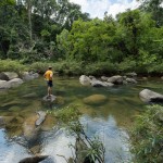 trekking-jungle-khao-sok-national-park-thailandtravel