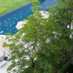 u-khao-yai-zwembad-ligbedden-thailandtravel