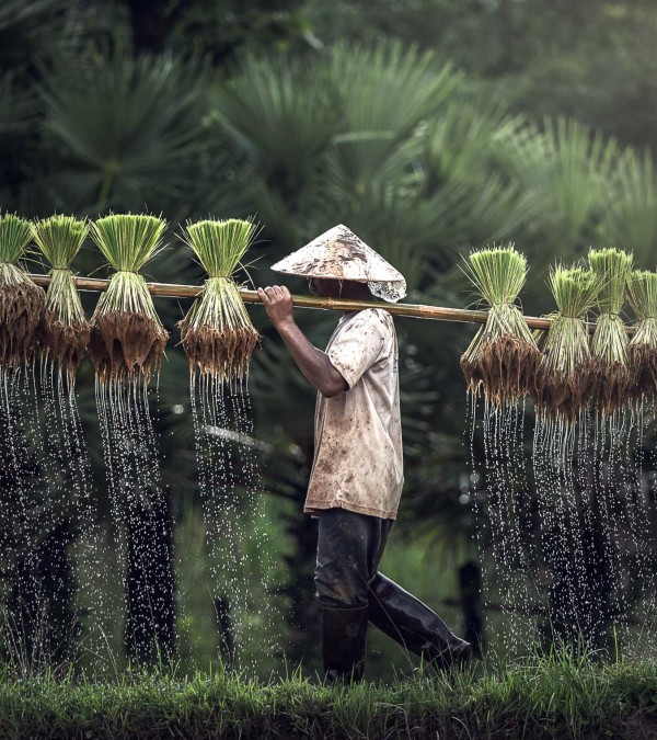 vietnam-local-platteland-thailandtravel