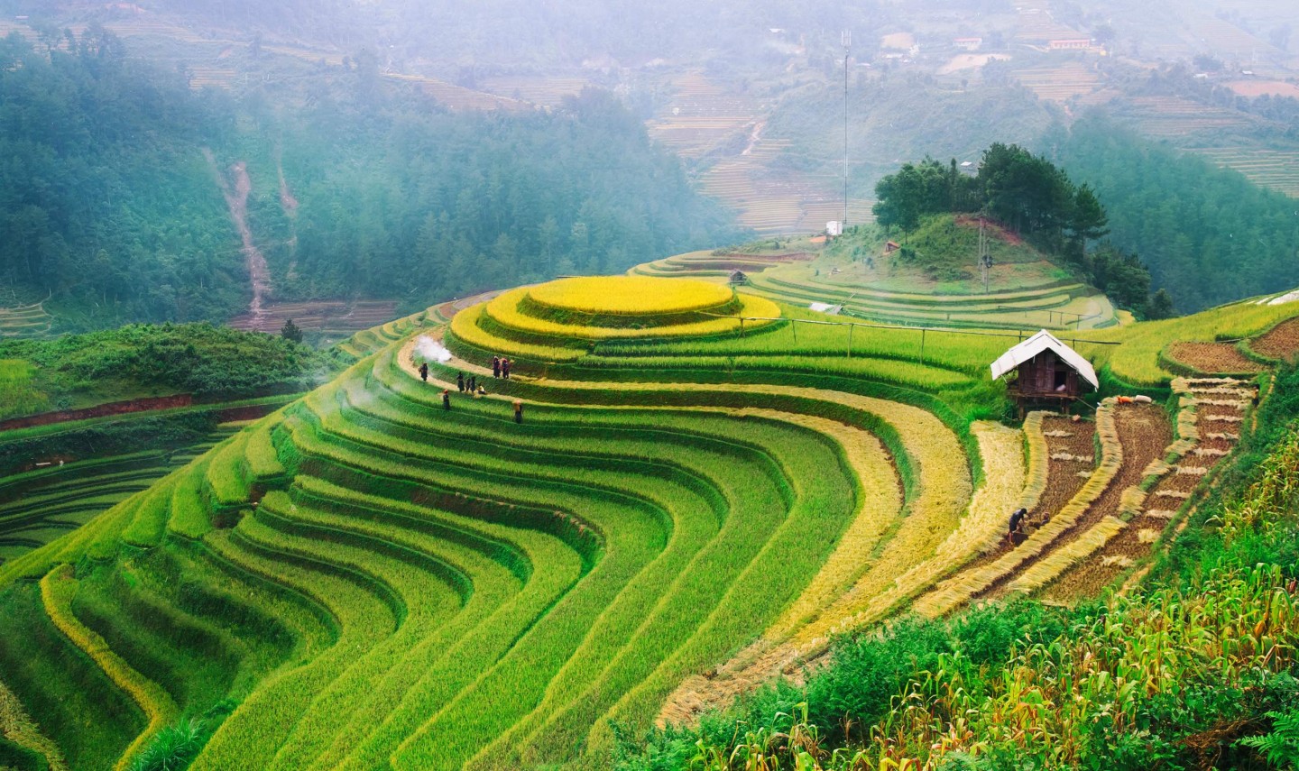 vietnam-rijstvelden-jungle-bergen-thailandtravel