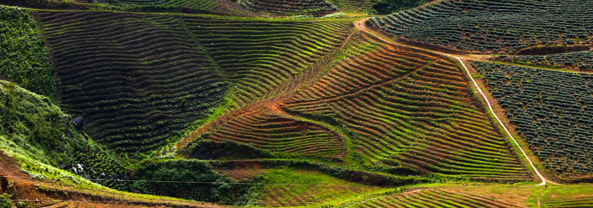 vietnam-sapa-rijstvelden-bergen-thailandtravel