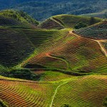 vietnam-sapa-rijstvelden-bergen-thailandtravel