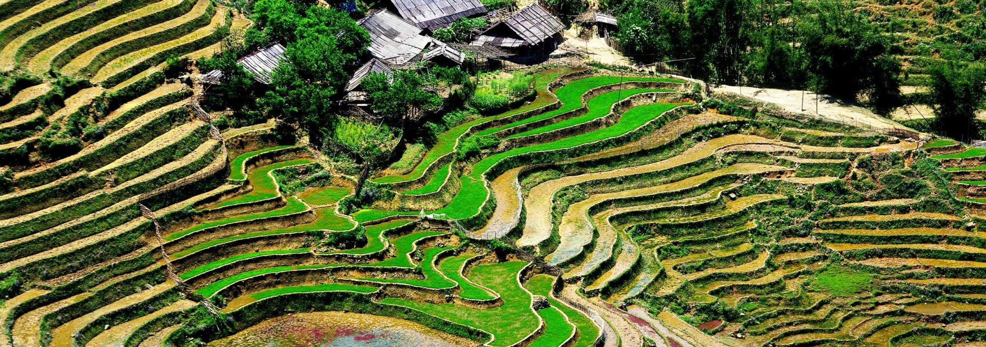 vietnam-sapa-rijstvelden-thailandtravel