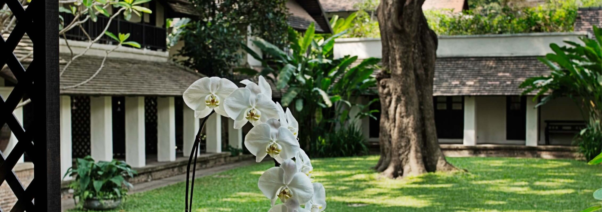 view-from-lanna-deluxe-kamer-tamarind-village-thailandtravel