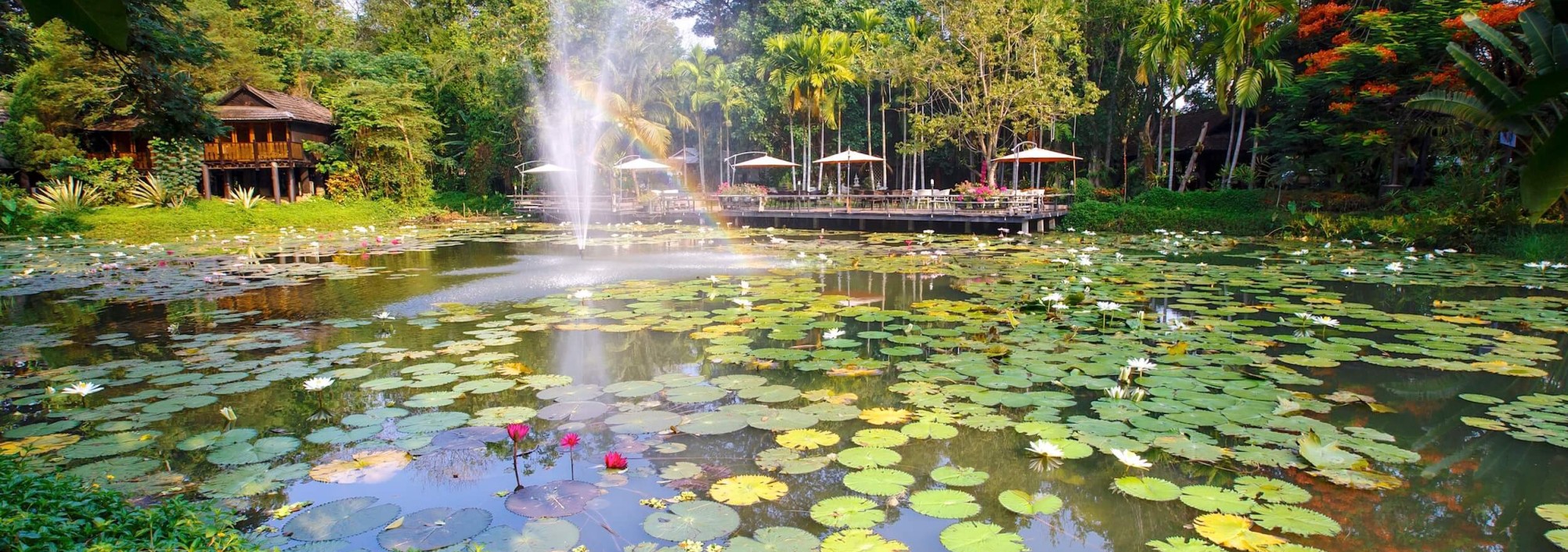 vijver-lampang-river-lodge-hotel-thailandtravel
