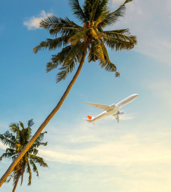 vliegtuig-palmen-thailandtravel