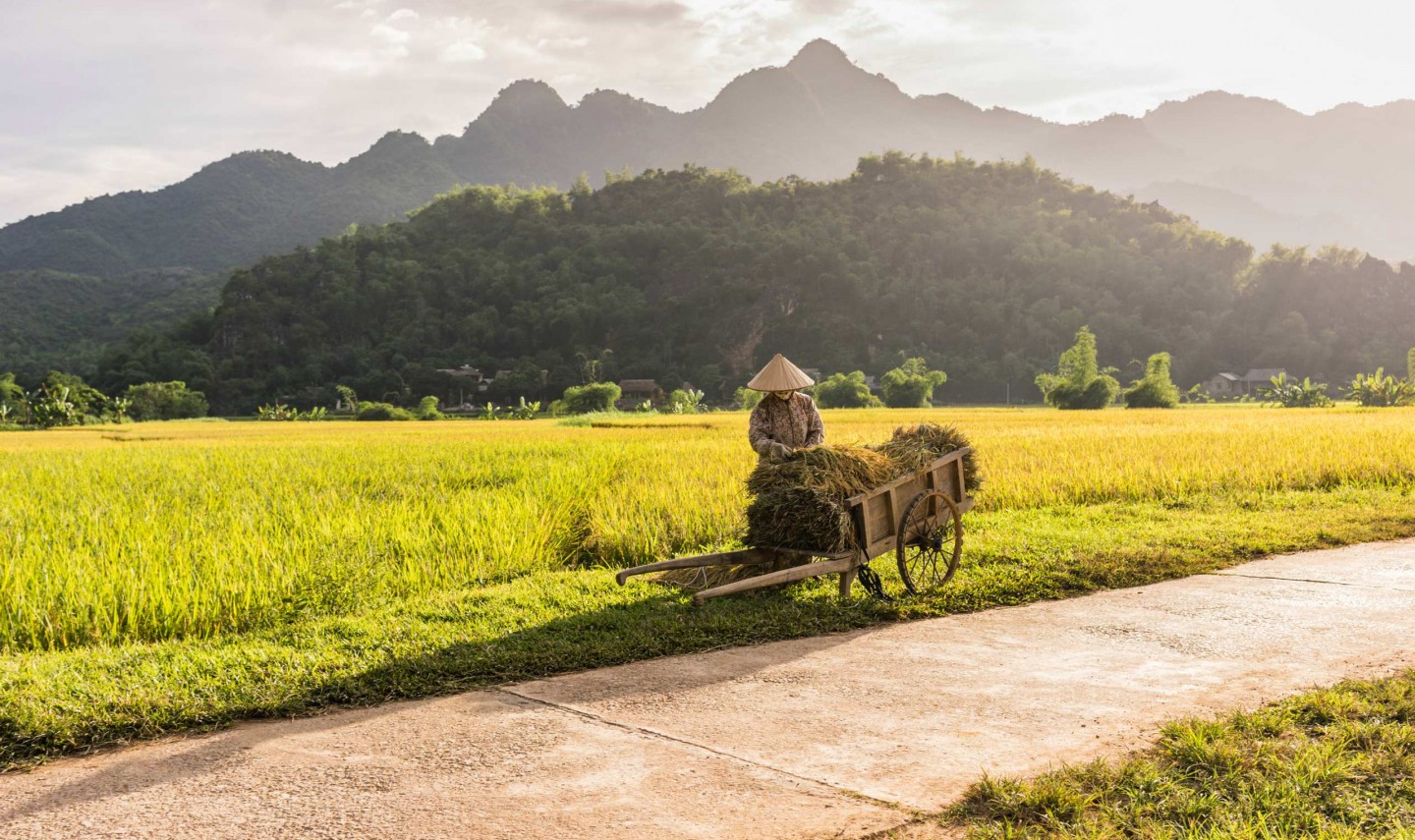 vrouw-mai-chau-vietnam-thailandtravel