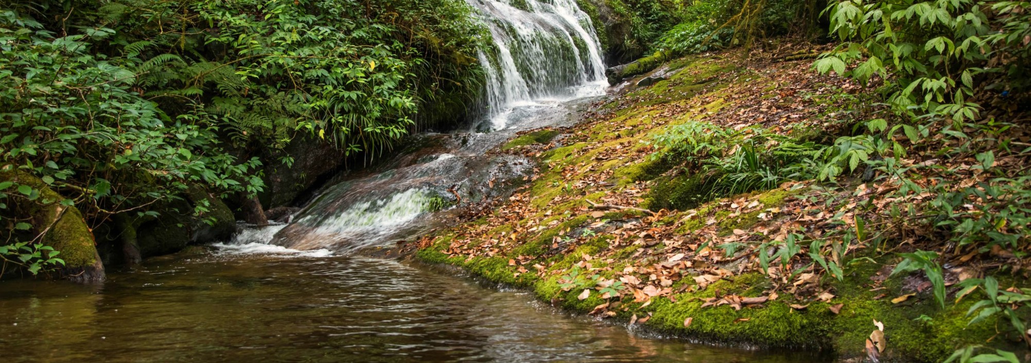 waterval-doi-inthanon-national-park-thailandtravel