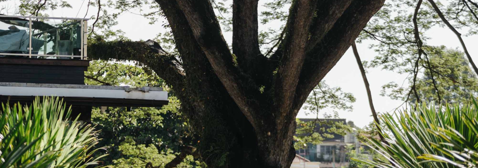 yoga-na-nirand-romantic-chiangmai