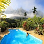 zwembad-elephant-hills-camp-khao-sok